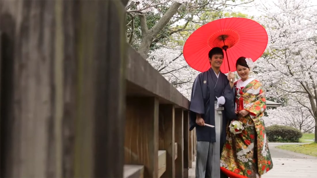 鹿児島で「桜フォトウエディング」