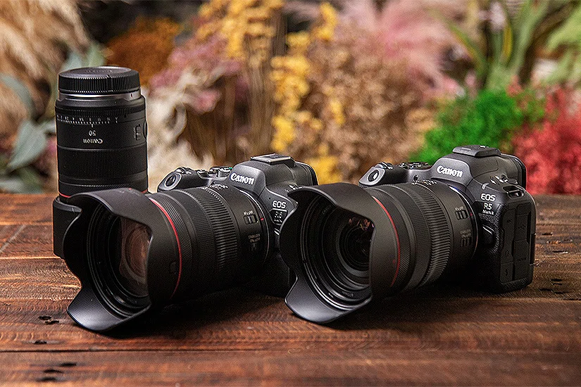 「新しい相棒たちがやってきた！」〜EOS R5 Mark II & R6 Mark II〜