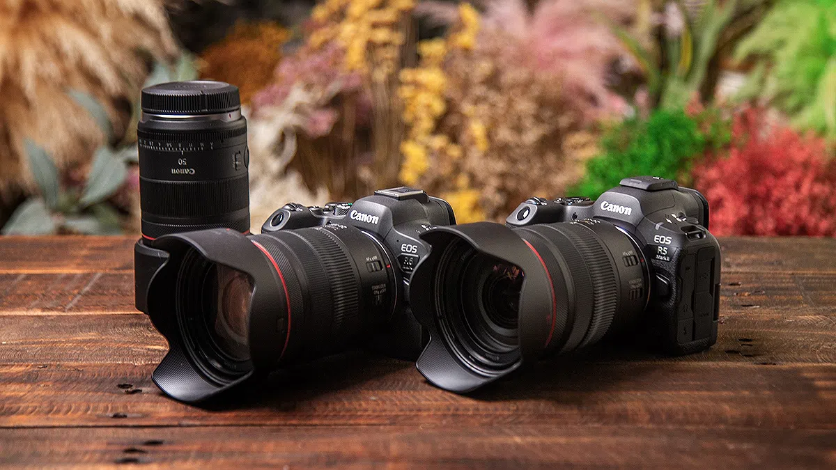 「新しい相棒たちがやってきた！」〜EOS R5 Mark II & R6 Mark II〜